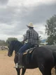 OC ranchero 