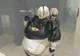 Fat 2B