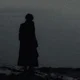 Regulus