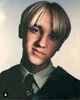 Draco M