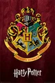 hogwarts school 