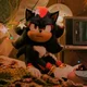 Shadow The Hedgehog
