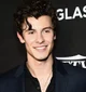 Shawn Mendes