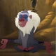 Rafiki