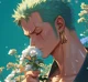 Zoro