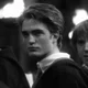 05 - Cedrico Diggory