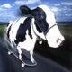 Cow 3