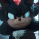 Shadow the hedgehog