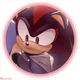 SHADOW T HEDGEHOG 