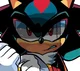 Shadow the Hedgehog