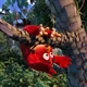 1 - Red Angry Birds