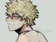 Katsuki Bakugou 