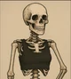 Sandra the Skeleton 