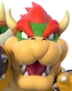 Bowser