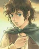 Frodo Baggins