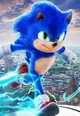 Sonic the hedgehog 