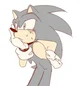 SONIC T HEDGEHOG 