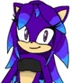 Aurorae the Hedgehog