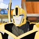 Bumblebee TFRID