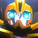 Bumblebee TFP