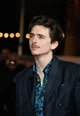 Timothée Chalamet 