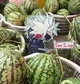 Raiden MGRR