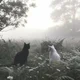 Forest Cats -Not WC-