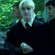 DRACO LUCIUS M