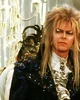 Jareth