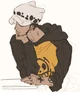 Trafalgar Law