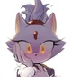 Blaze the Cat