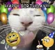 BIRTHDAY BOT