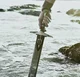 010 PERCY JACKSON