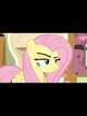 Fluttershy 