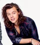 Harry Styles 2015