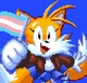 Tails - Trans