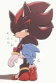 SONADOW FAMILY 
