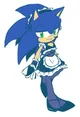SONIC T HEDGEHOG 
