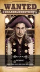 Wanted pirate