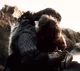 15 BILBO AND THORIN