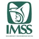 Medico IMSS RPG 