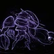 Void Jailer