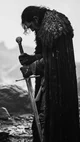 Viking Captor 