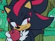 Shadow The Hedgehog