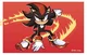 Shadow The Hedgehog