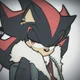 SHADOW T HEDGEHOG 