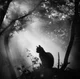 HUNG BY TH3 3DG3