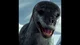 Leopard Seal 
