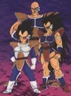 Vegeta Raditz Nappa