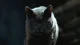 Smokey the Cat